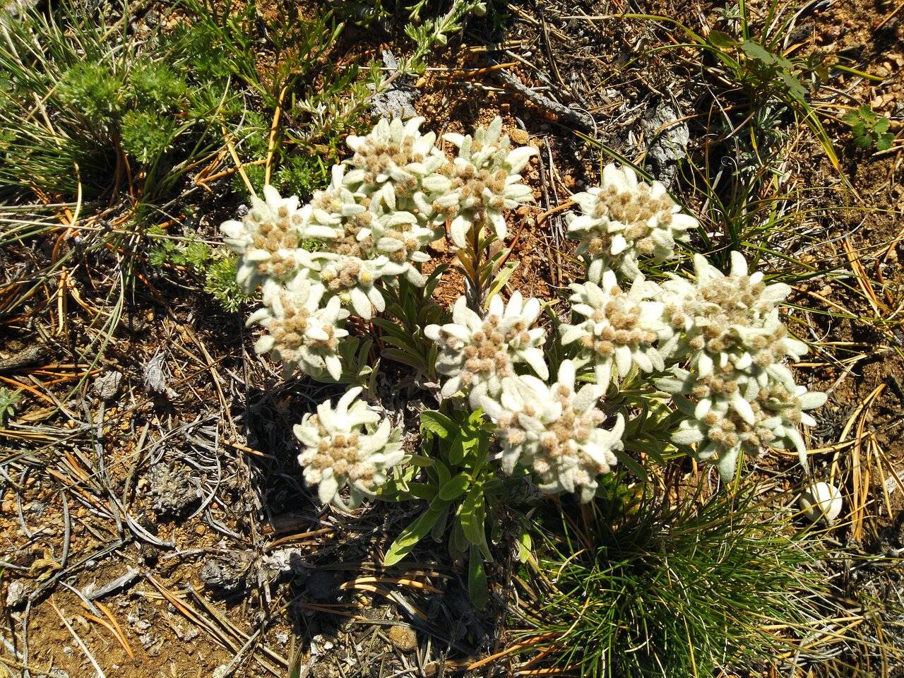 Фото Гостевого дома Уюга Байкальск 24