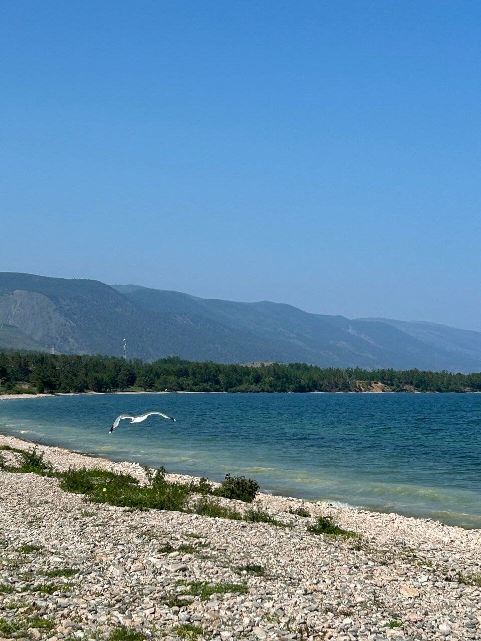 Фото Гостевого дома Уюга Байкальск 145