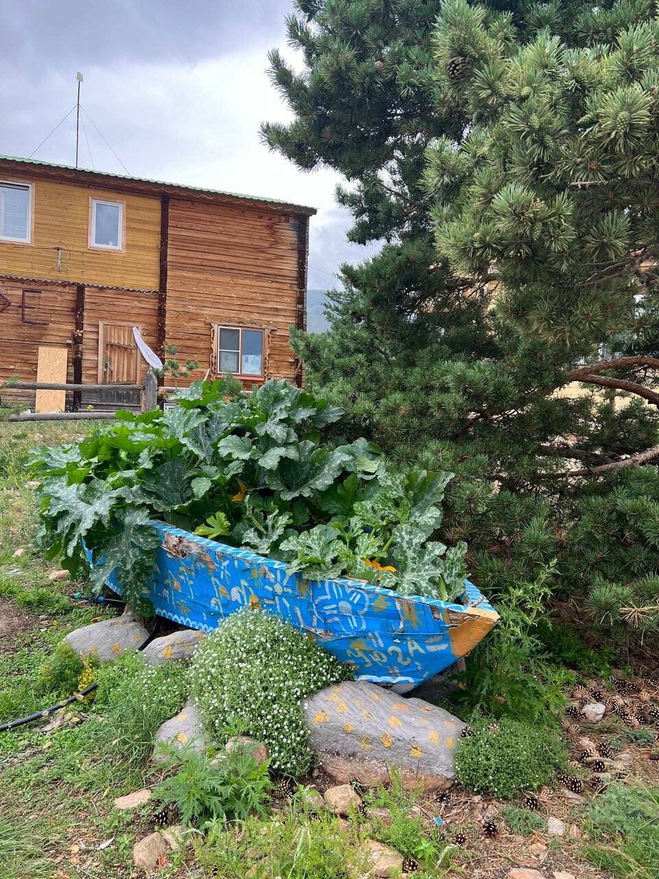 Фото Гостевого дома Уюга Байкальск 119