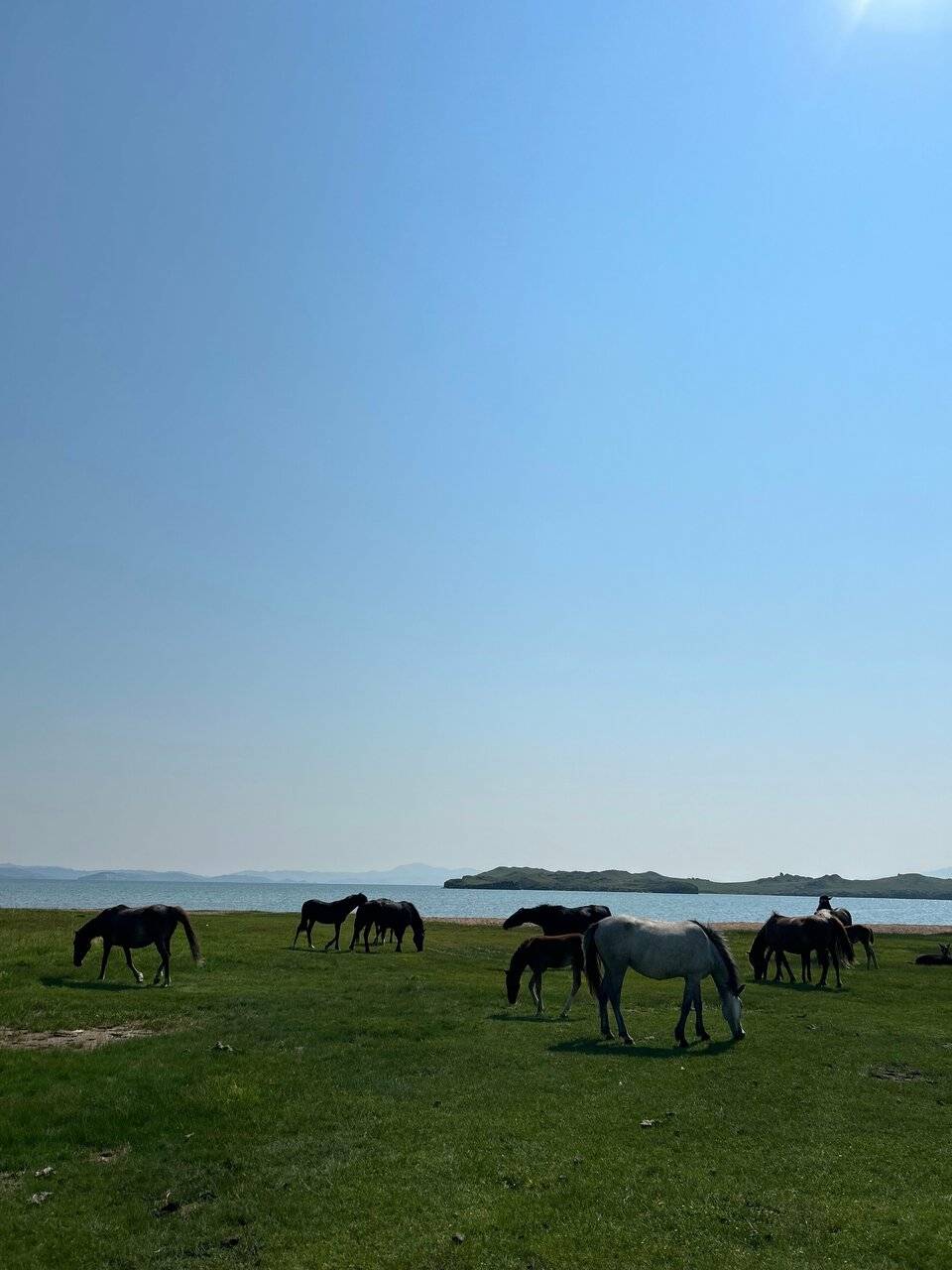 Фото Гостевого дома Уюга Байкальск 116