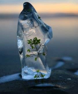 Фото Гостевого дома Уюга Байкальск 12