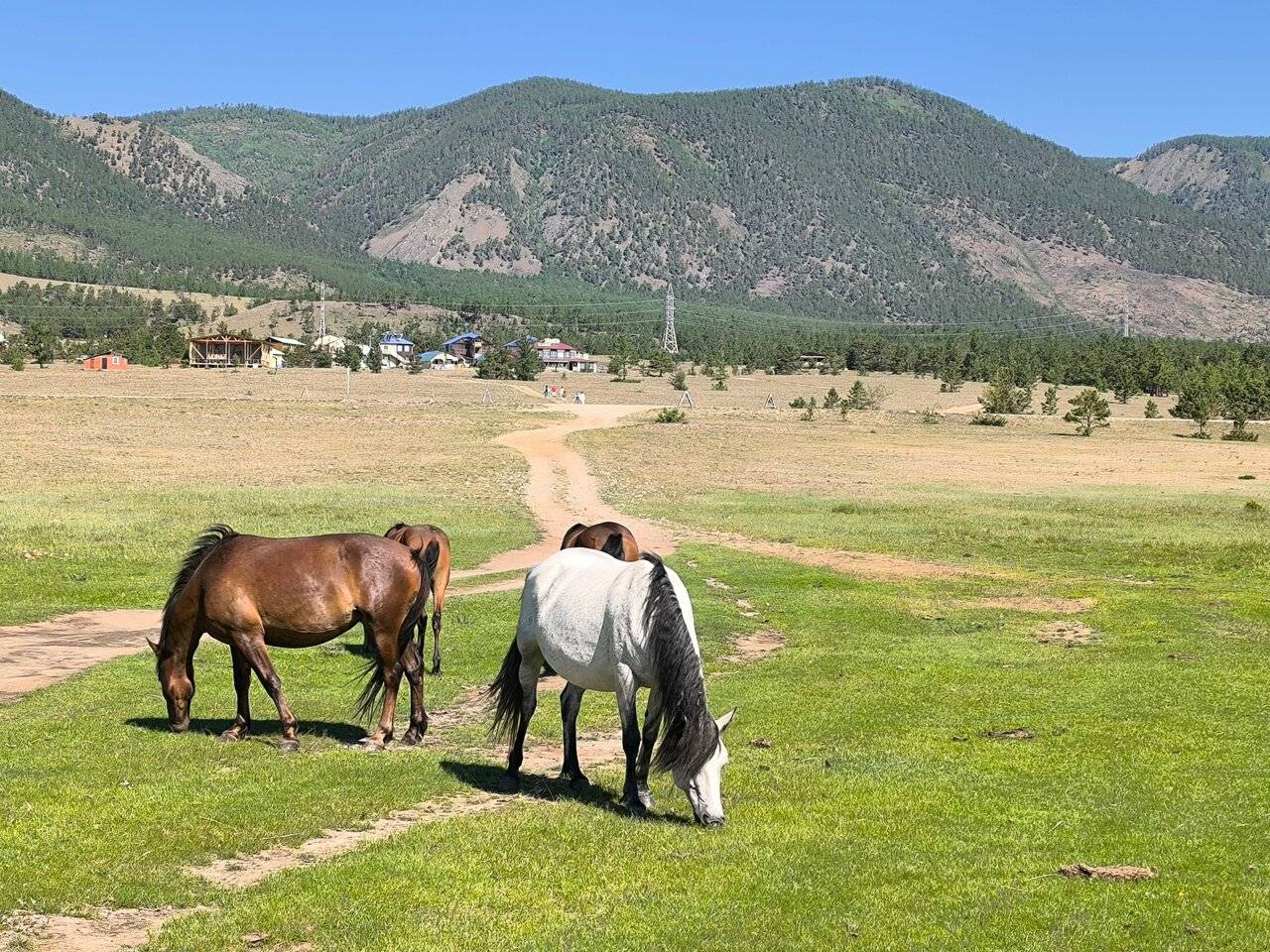 Фото Гостевого дома Уюга Байкальск 76